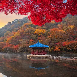 South Korea