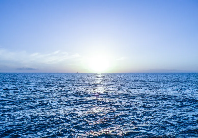 High Seas Cruise